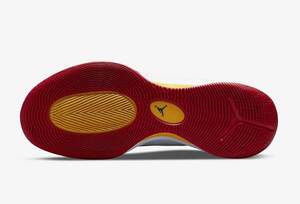 Кросівки Jordan Zoom Separate