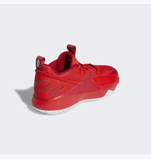 Баскетбольні кросівки Adidas Dame Certified