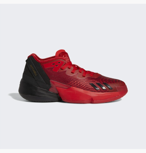 Баскетбольні кросівки Adidas DON 4