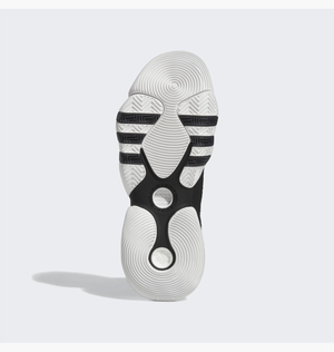 Баскетбольні кросівки Adidas Trae 2