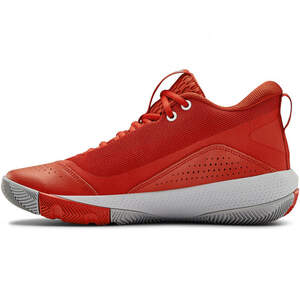 Баскетбольні кросівки Under Armour Curry 3Z4