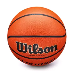 М'яч Wilson Evolution