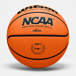 М'яч Wilson NCAA EVO Replica
