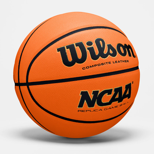 М'яч Wilson NCAA EVO Replica