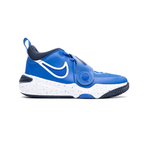 Баскетбольні кросівки Nike Team Hustle D11