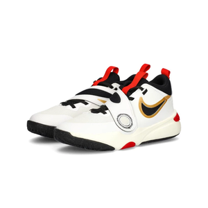 Баскетбольні кросівки Nike Team Hustle D11