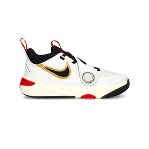Баскетбольні кросівки Nike Team Hustle D11