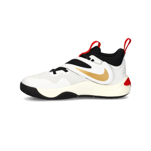 Баскетбольні кросівки Nike Team Hustle D11