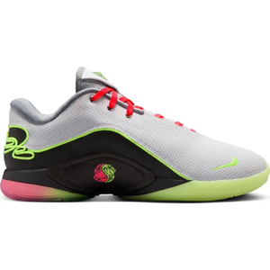 Баскетбольні кросівки Nike Lebron 22 (NoBox)