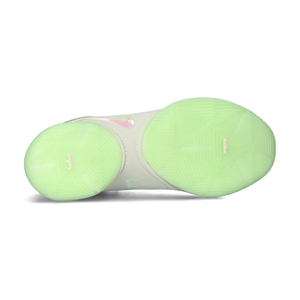 Баскетбольні кросівки Nike Lebron 22