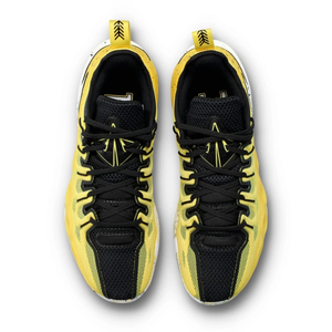 Баскетбольні кросівки Li-Ning Jimmy Buckets