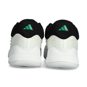 Баскетбольні кросівки Adidas Dame X