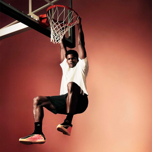 Баскетбольні кросівки Adidas AE2