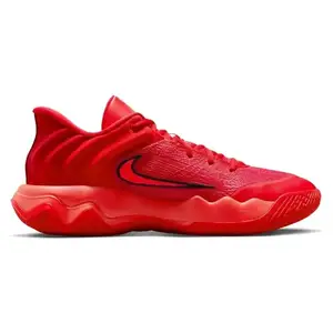 Баскетбольні кросівки Nike Immortality 4