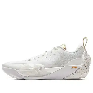 Кросівки Li-Ning Wade Of Wade All City 13