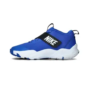 Баскетбольні кросівки Nike Team Hustle D12
