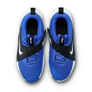 Баскетбольні кросівки Nike Team Hustle D12