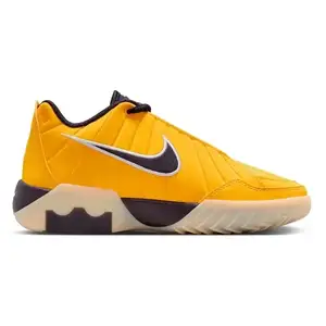 Кросівки Nike Lebron Witness 9 GS