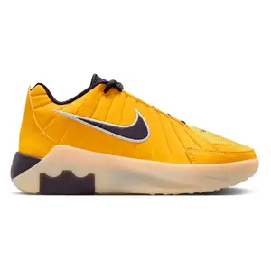 Кросівки Nike Lebron Witness 9 GS