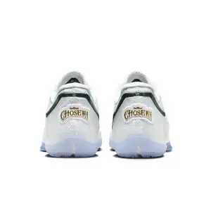 Баскетбольні кросівки Nike Lebron 23 Баскетбольні кросівки Nike Lebron 23