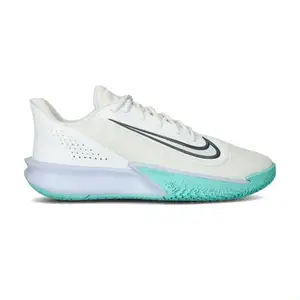 Баскетбольні кросівки Nike Precision 7